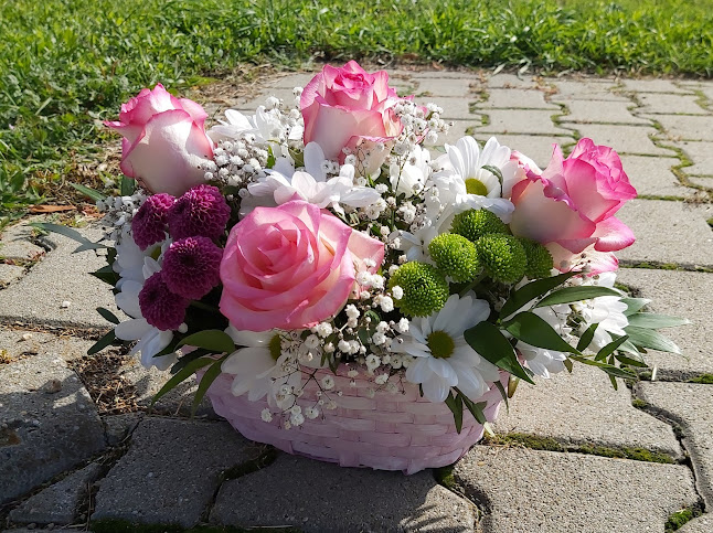 Rózsa-füzér Virág és Ajándék - Virágárus