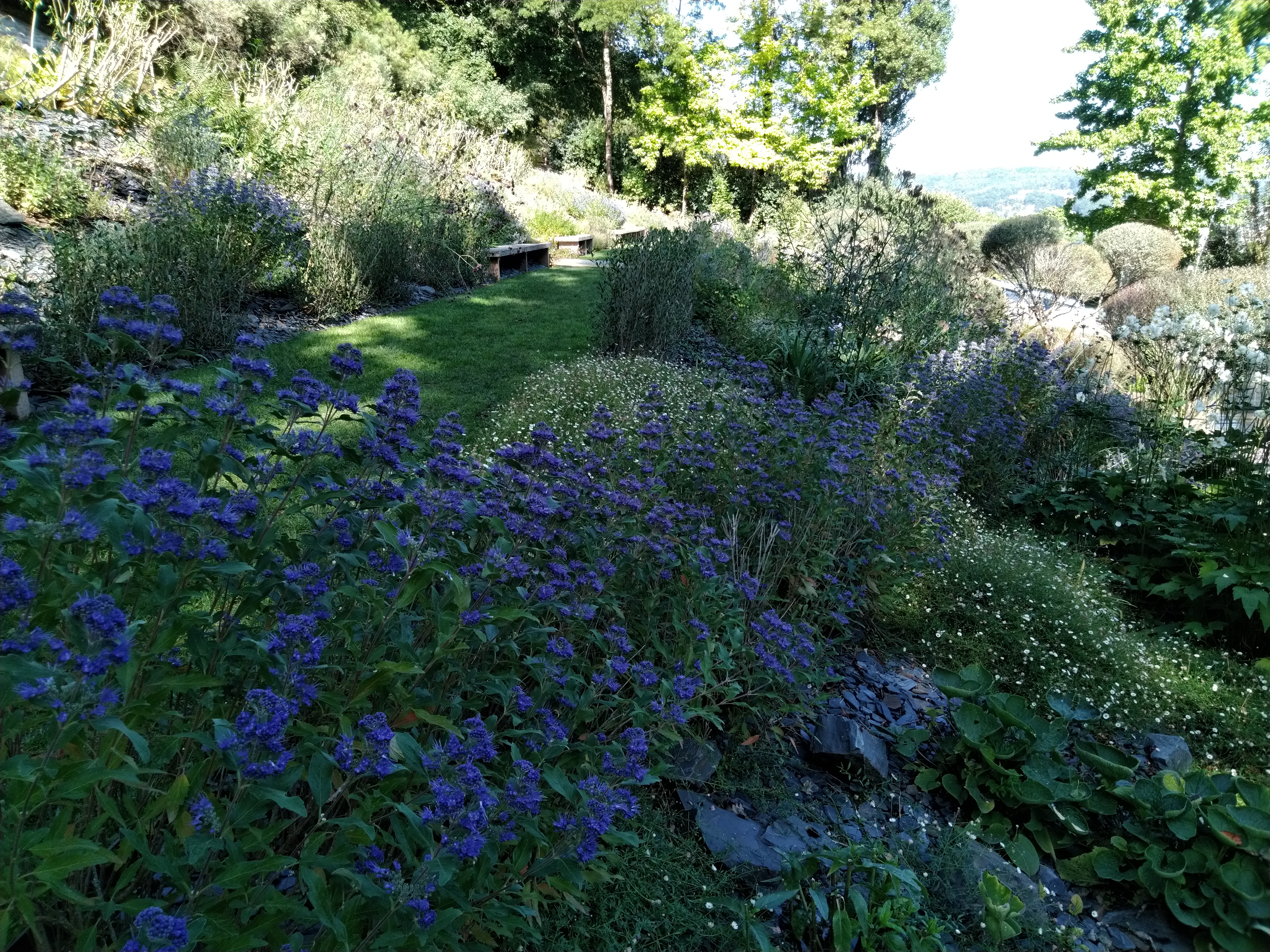 Photo n° 12 de l'avis de Philippe.u fait le 07/09/2019 à 16:09
