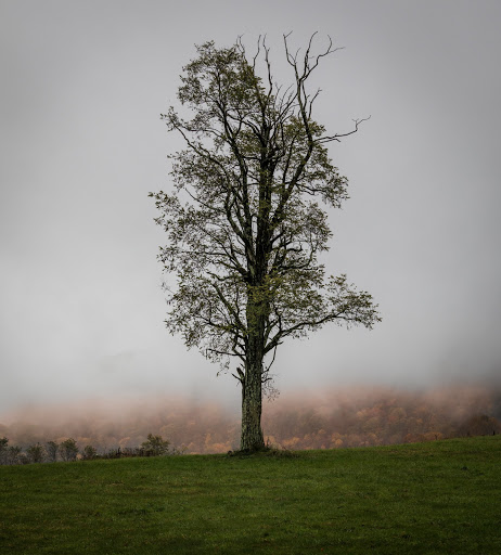 General Store «Grayson Highlands General Store», reviews and photos, 4249 Highlands Pkwy, Mouth of Wilson, VA 24363, USA