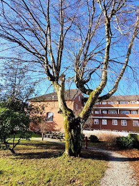 Opheim Park