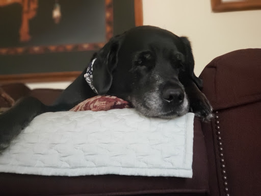 1472 W State St, Alliance, OH 44601, USA