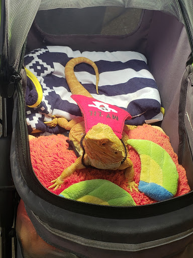 Pet Supply Store «Petco Animal Supplies», reviews and photos, 2358 S Range Ave, Denham Springs, LA 70726, USA