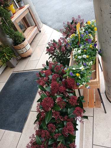 Opinii despre Baron Fleurs în Brive-la-Gaillarde - Fleuriste