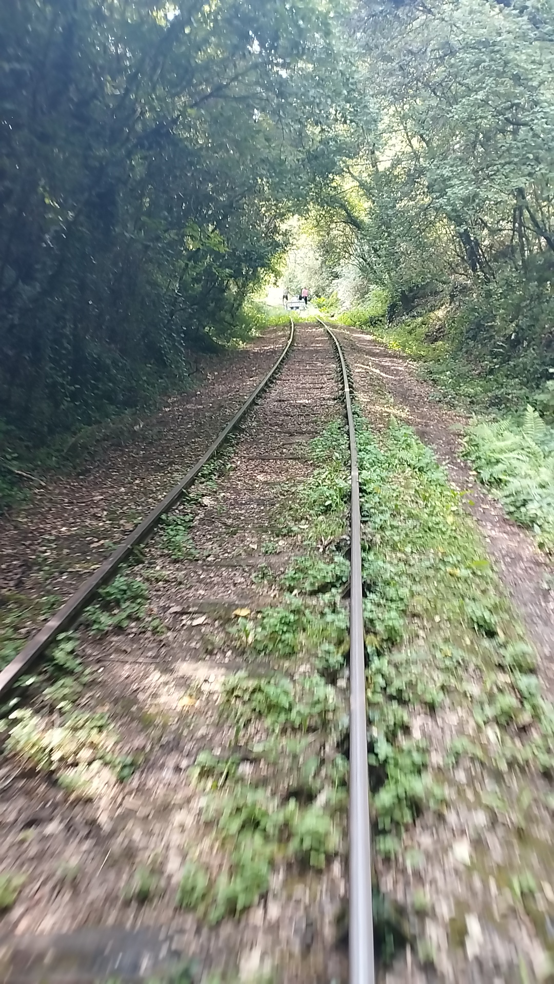 Photo n° 1 de l'avis de Sandrine.o fait le 25/07/2022 à 16:26