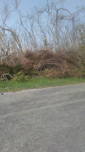 Florist «Emma Flower Shop», reviews and photos, 409 N Fuqua St, Rockport, TX 78382, USA