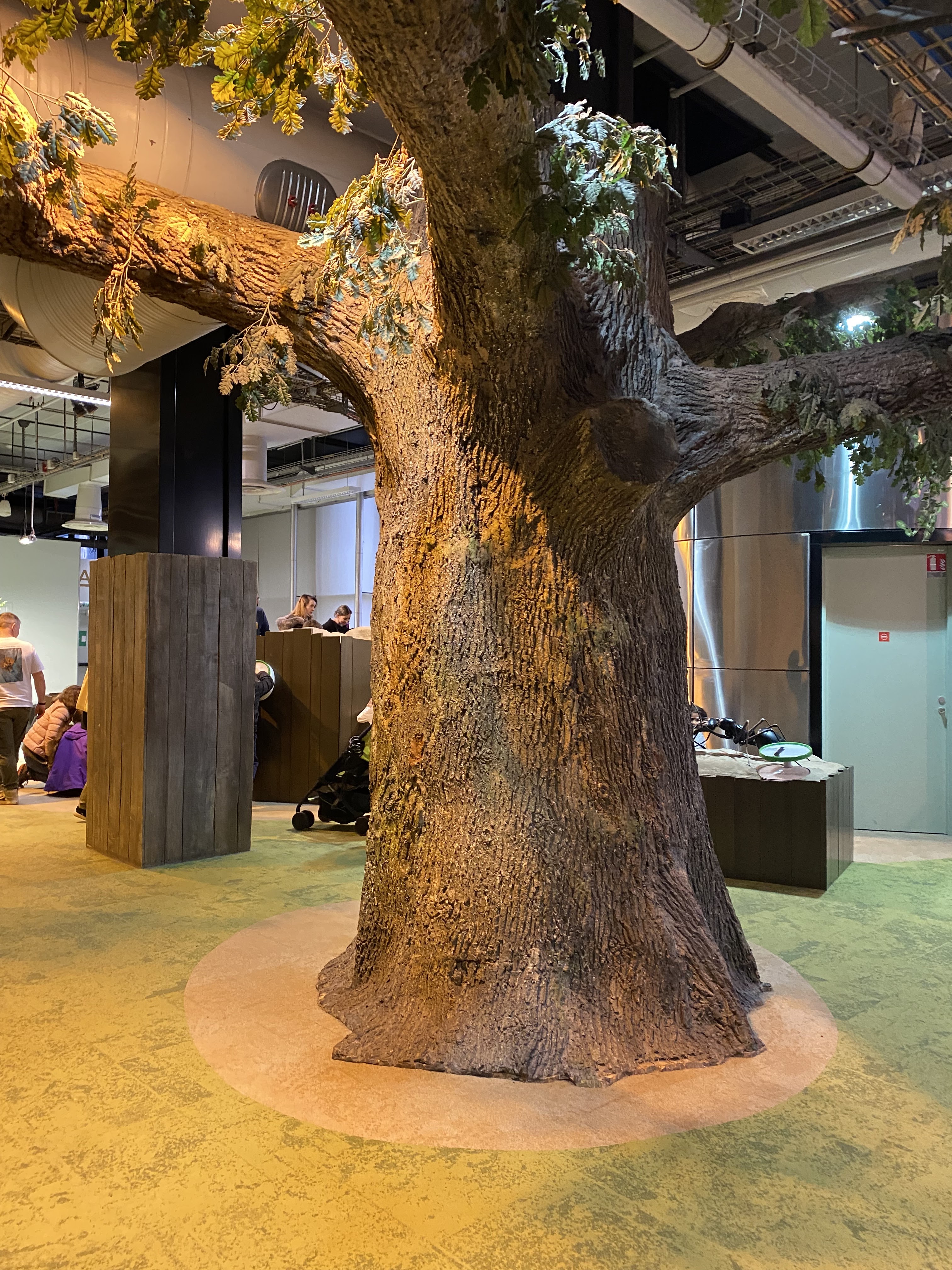 Photo n° 1 de l'avis de Bleu.a fait le 03/02/2024 à 16:51