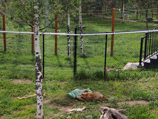 Wildlife Park «Colorado Wolf and Wildlife Center», reviews and photos, 4729 Twin Rocks Rd, Divide, CO 80814, USA