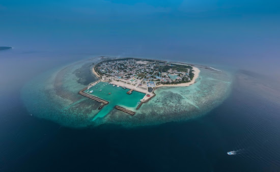 SeaSquad Beach