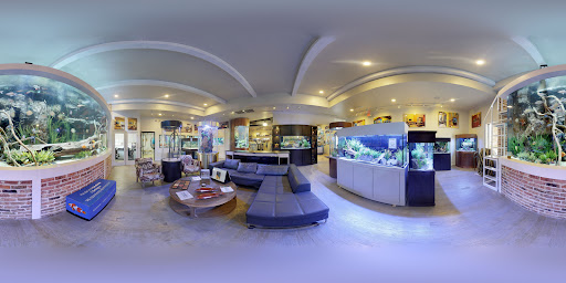 Tropical Fish Store «Fish Gallery», reviews and photos, 2909 Fountain View Dr, Houston, TX 77057, USA