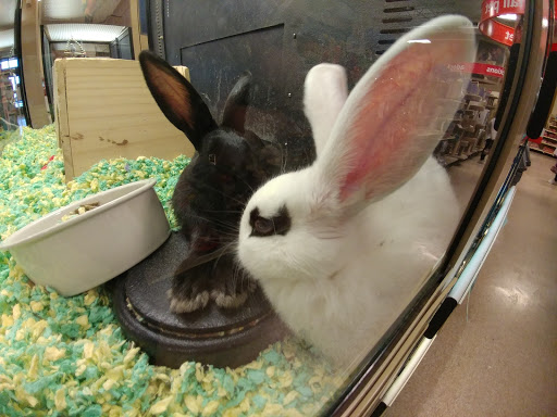 Pet Supply Store «PetSmart», reviews and photos, 3132 Vestal Pkwy E, Vestal, NY 13850, USA