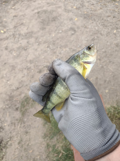 Park «Ruedisale Point Park», reviews and photos, 50400 Ruedisale St, New Baltimore, MI 48047, USA