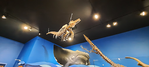 Museum «Museum», reviews and photos, 2142 Southern Dr, Statesboro, GA 30458, USA