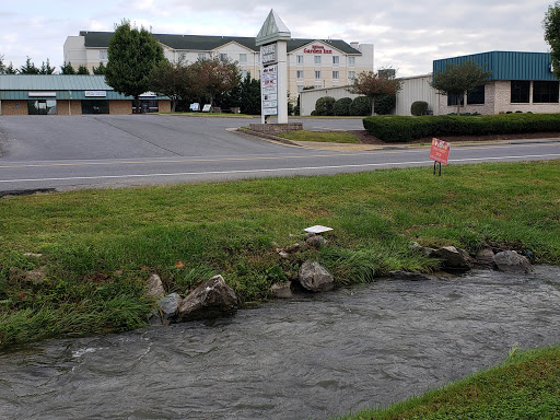 Hotel «Hilton Garden Inn Winchester», reviews and photos, 120 Wingate Dr, Winchester, VA 22601, USA