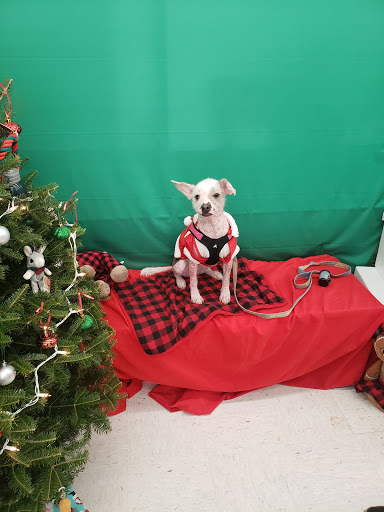 Pet Supply Store «Petco Animal Supplies», reviews and photos, 1049 S Willow St, Manchester, NH 03103, USA