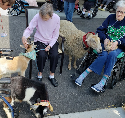 Pony Ride Service «Animals Unlimited LLC est 1996 travelling petting zoo/pony rides/travelling exotic animal programs .», reviews and photos, 16805 Mountain Rd, Montpelier, VA 23192, USA