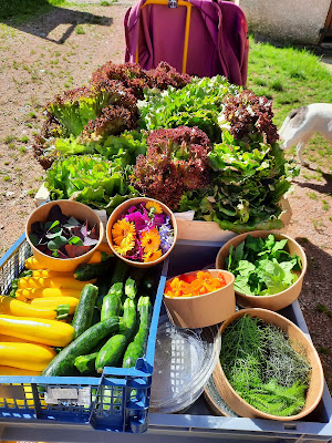 Potager des bois gourmands à Saint-Georges-de-Baroille