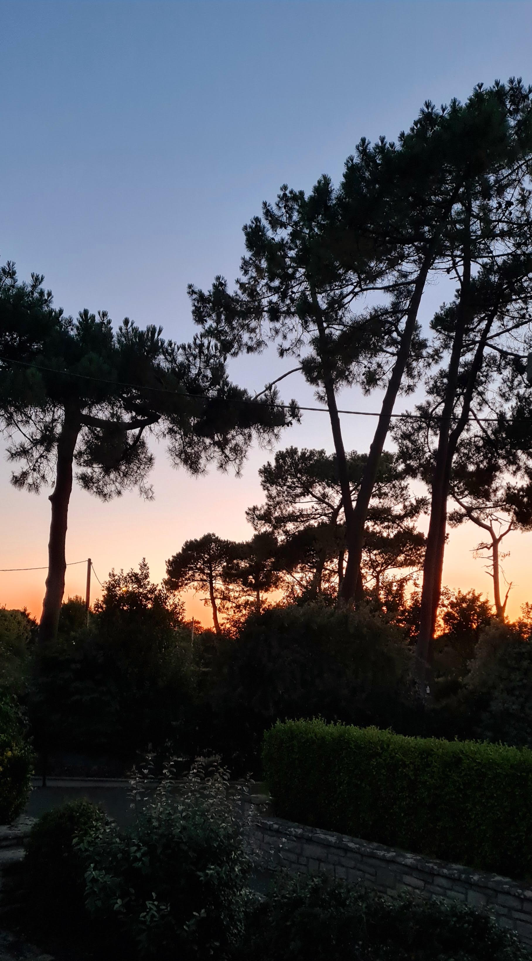 Photo n° 1 de l'avis de Sabine.e fait le 30/07/2022 à 15:57