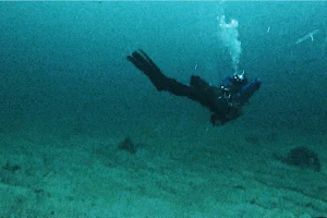 Våge Diving image