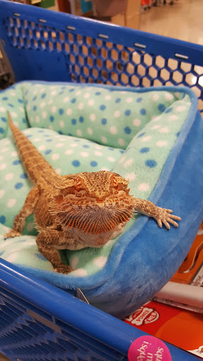 Pet Supply Store «PetSmart», reviews and photos, 16514 SW 88th St, Kendall, FL 33196, USA