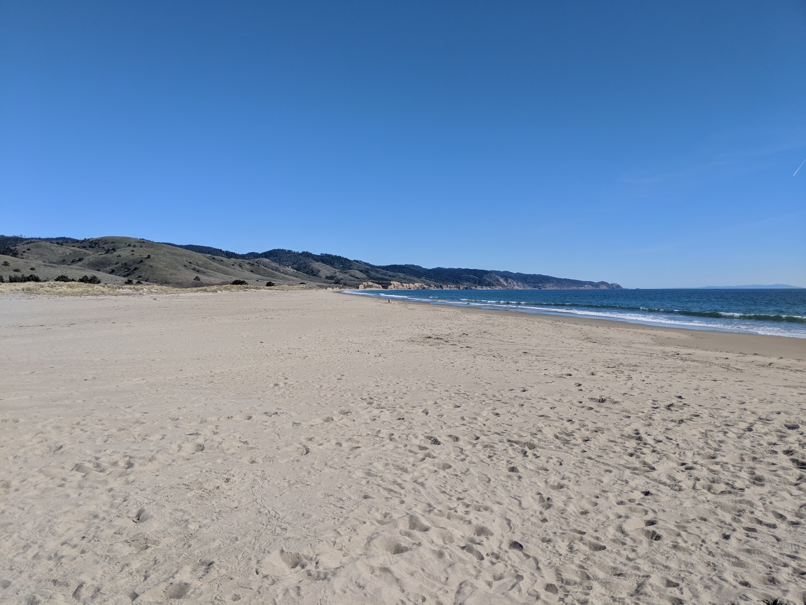 Foto von Limantour Beach mit langer gerader strand