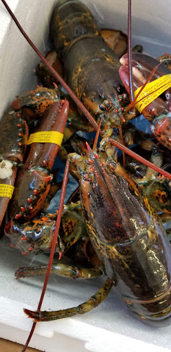 Seafood Market «Parsons Lobsters», reviews and photos, 64 Eagle Lake Rd, Bar Harbor, ME 04609, USA