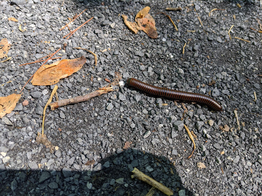 State Park «Swatara State Park», reviews and photos, 1450 Suedberg Rd, Pine Grove, PA 17963, USA