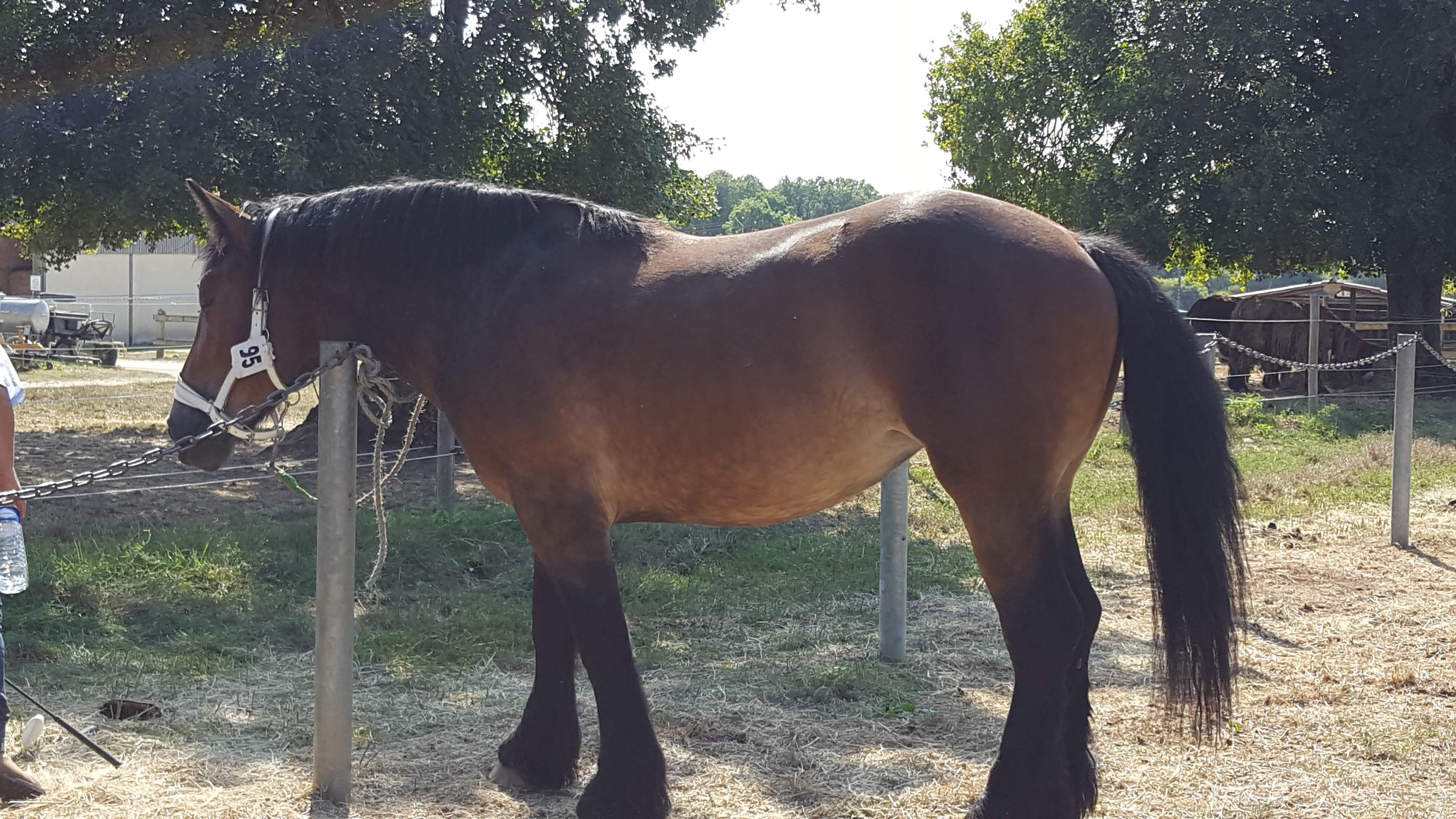 Photo n° 2 de l'avis de Prudence.r fait le 30/08/2019 à 10:33