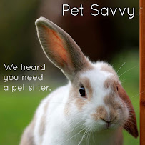 Pet Savvy - Photo 4 - Car repair in Flower Mound, TX, Lewisville