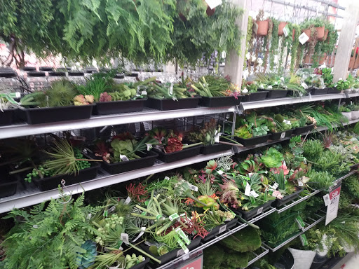 Craft Store «Michaels», reviews and photos, 7635 N MacArthur Blvd, Irving, TX 75063, USA