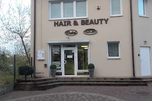 In Aldona. Studio beauty Hairdressing image