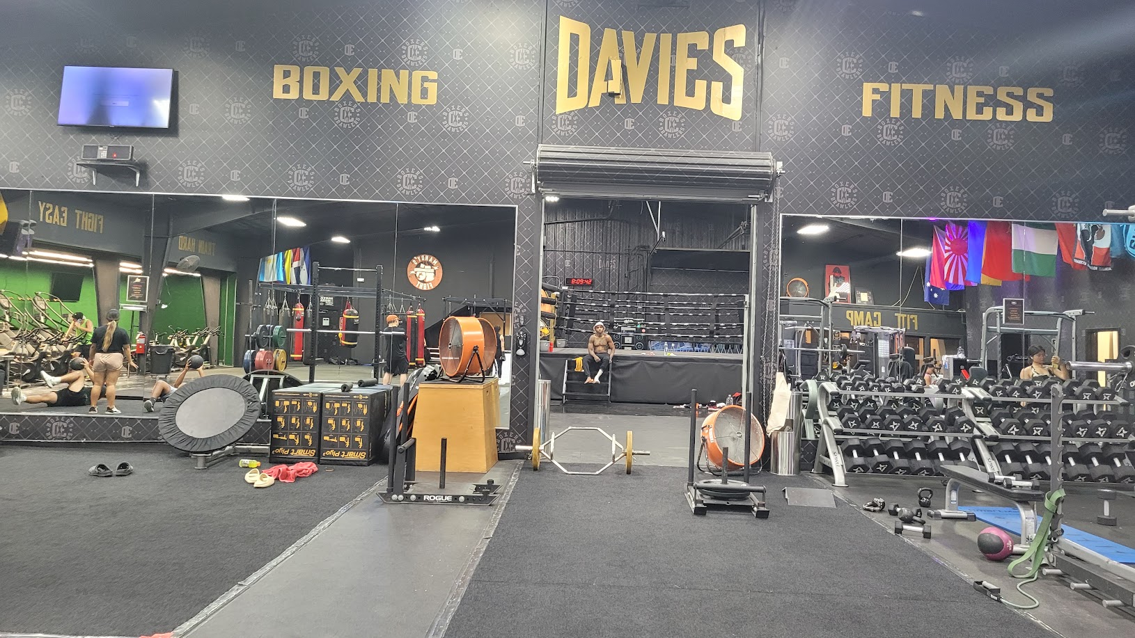 Davies Boxing and Fitness