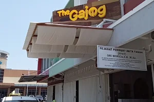 The Gajog image