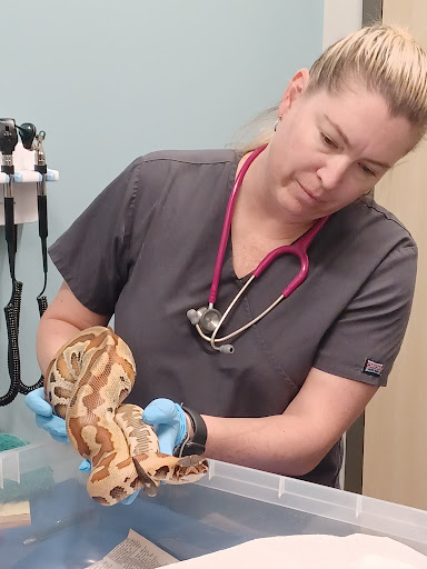 Insight Veterinary Wellness Center image