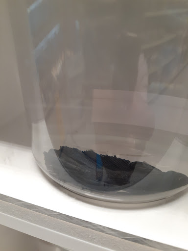 Pet Supply Store «PetSmart», reviews and photos, 1232 Hooper Ave, Toms River, NJ 08753, USA