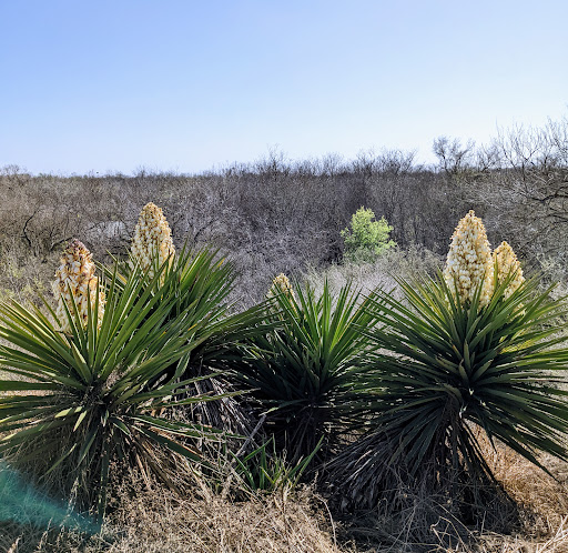 Park «Medina River Natural Area», reviews and photos, 15890 Highway 16 South, San Antonio, TX 78264, USA