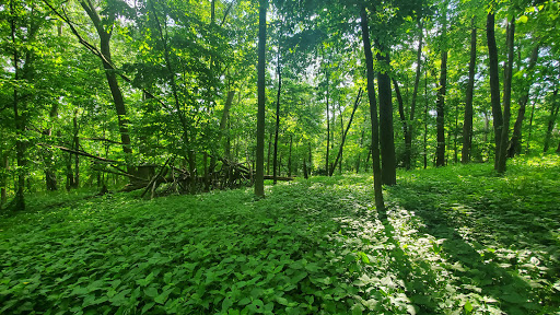 Nature Preserve «Indian Creek Nature Center», reviews and photos, 5300 Otis Rd, Cedar Rapids, IA 52403, USA