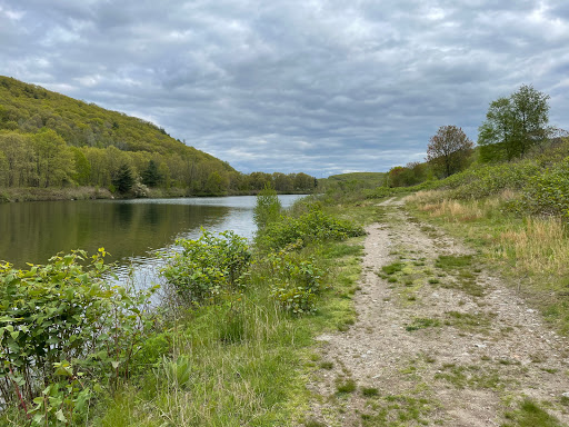 Toby's Pond