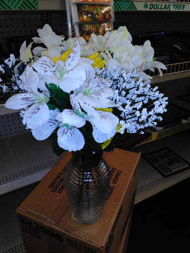 Dollar Store «Dollar Tree», reviews and photos, 3301 US-190, Mandeville, LA 70471, USA