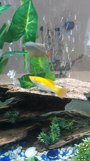 Pet Supply Store «Coastline Pet Supply», reviews and photos, 3530 Northgate Dr, Myrtle Beach, SC 29588, USA