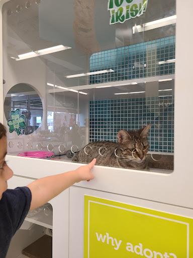 Pet Supply Store «Petco Animal Supplies», reviews and photos, 1009 E Commercial Blvd, Oakland Park, FL 33334, USA