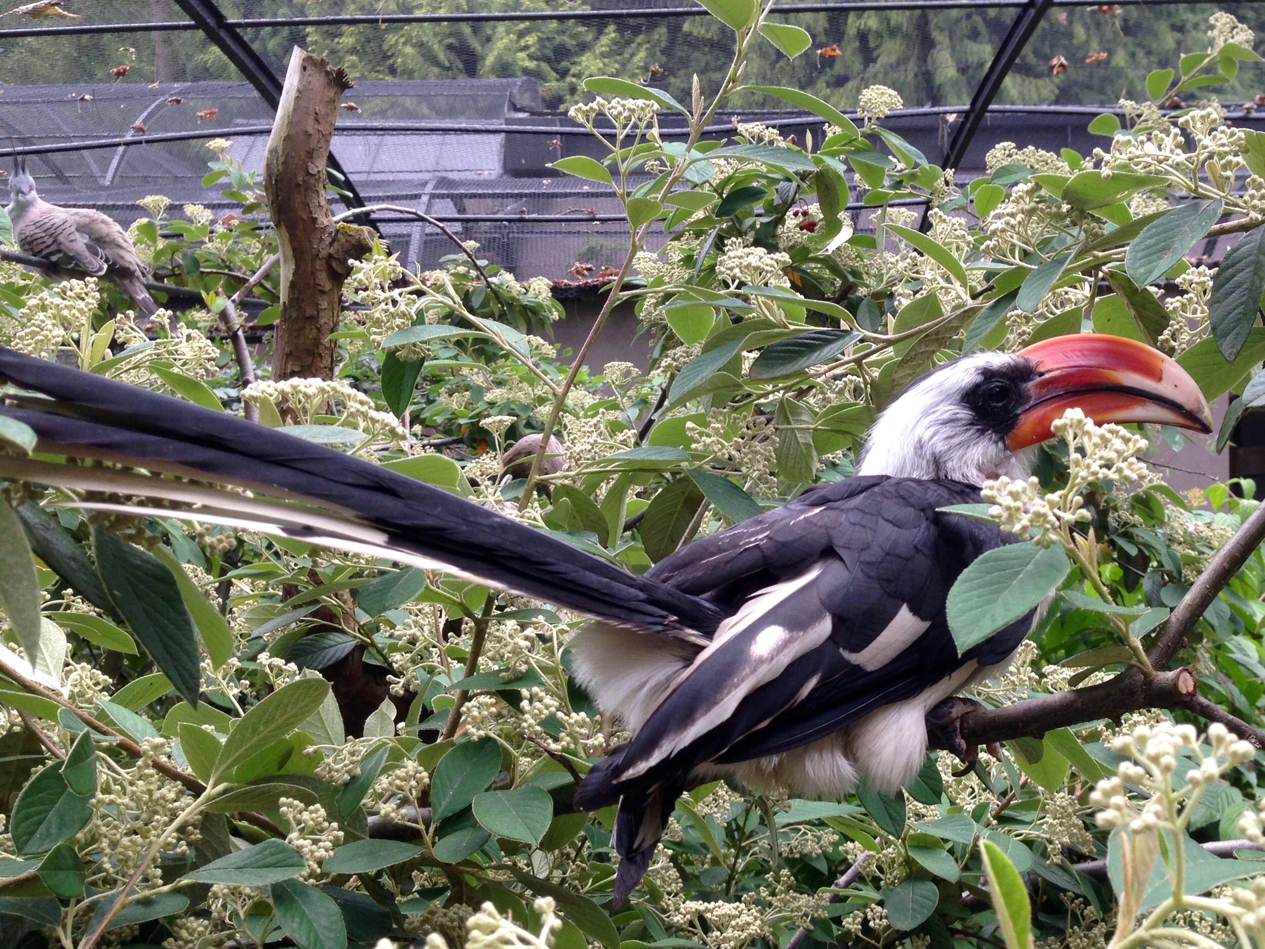 Photo n° 12 de l'avis de John.a fait le 10/06/2018 à 18:52