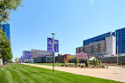 University Of Health Sciences And Pharmacy In St. Louis