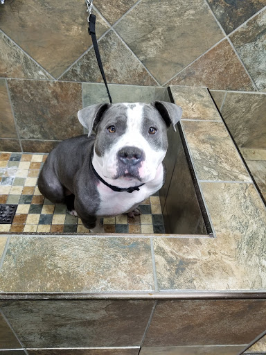 Pet Supply Store «Pet Valu», reviews and photos, 1354 Centennial Ave, Piscataway Township, NJ 08854, USA