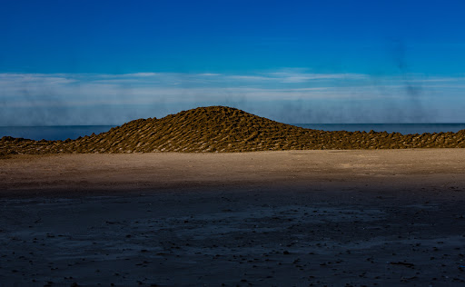 Hiking Area «Cowles Bog Trail», reviews and photos, 1618 N Mineral Springs Rd, Dune Acres, IN 46304, USA