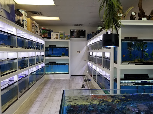 Tropical Fish Store «Oceanside Aquariums», reviews and photos, 2176 N Mt Juliet Rd #105, Mt Juliet, TN 37122, USA