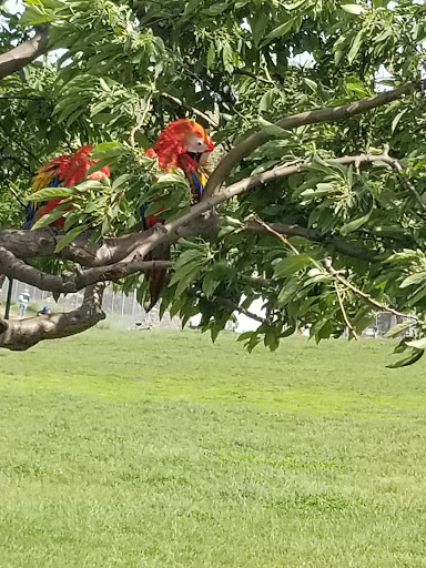 Park «Sunset Park», reviews and photos, 7th Ave & 43rd St, Brooklyn, NY 11232, USA