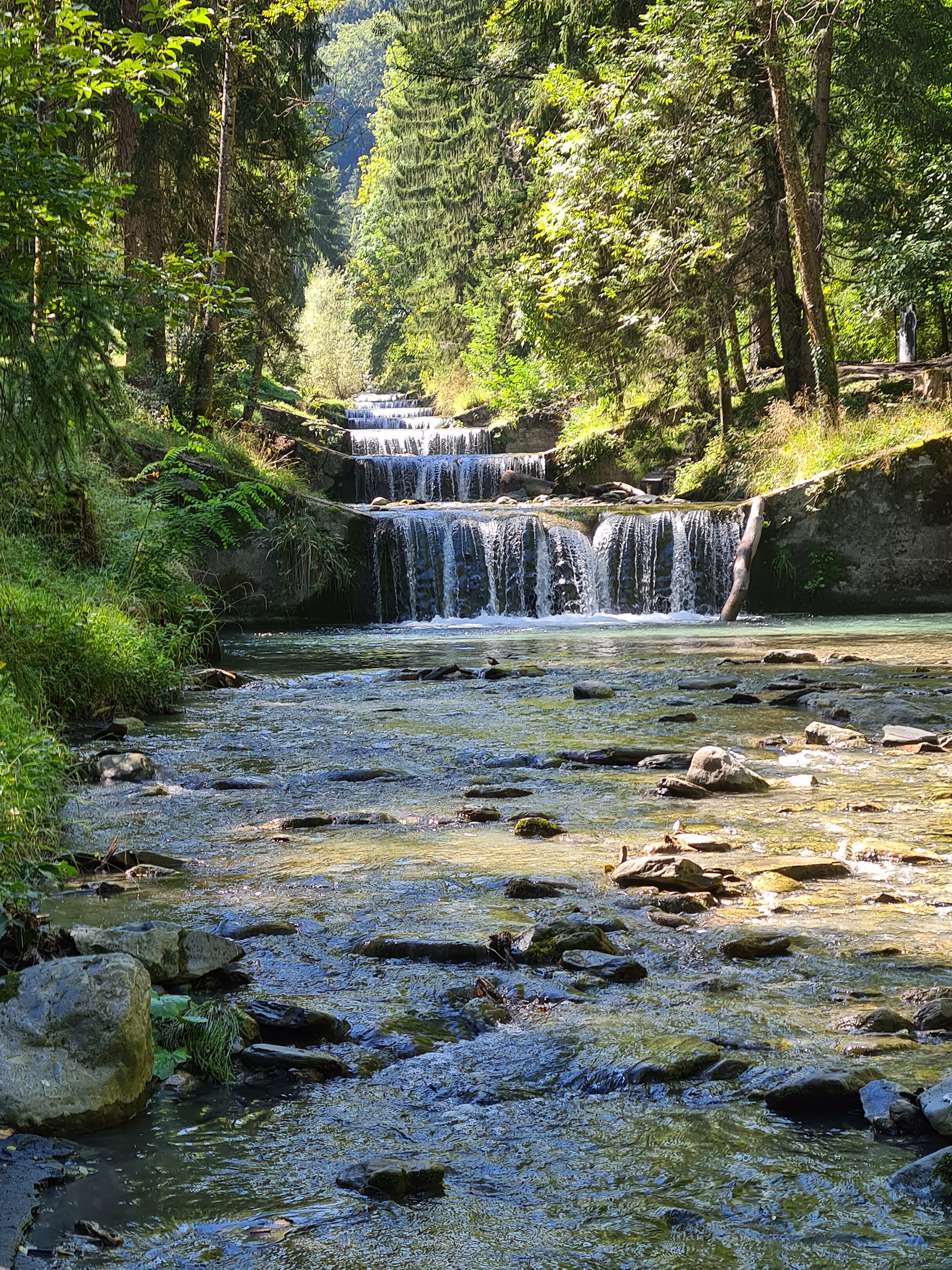 Photo n° 1 de l'avis de Donald.r fait le 14/09/2020 à 15:03