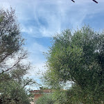 Photo n°4 de l'avis de alle. fait le 04/10/2023 à 10:17 sur le  Ristorante La Rocca da Chiara à Arzachena