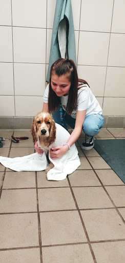 Pet Supply Store «Pet Supplies Plus», reviews and photos, 209 Towne Dr, Elizabethtown, KY 42701, USA