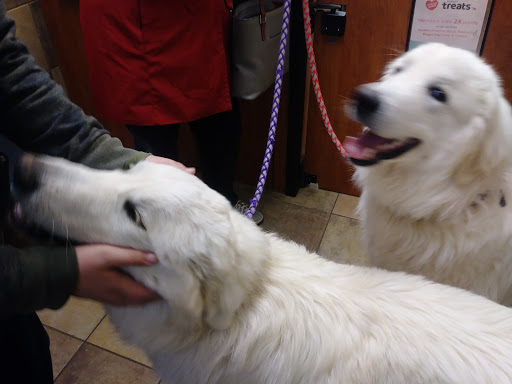 Pet Supply Store «PetSmart», reviews and photos, 2356 W State Rte 89A, Sedona, AZ 86336, USA